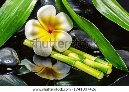Tropical flower, bamboo, massage stones. Spa treatment. 