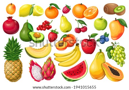 Berries and fruits vector illustration in cartoon style. Pitaya, pomegranate, raspberries, strawberries, grapes, currants and blueberries. Lemon, peach, apple, orange watermelon avocado and melon set Royalty-Free Stock Photo #1941015655