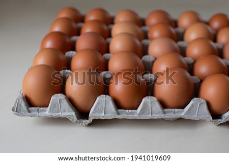Rural, raw and fresh eggs in cartoon egg box tray, close-up with soft and select focus and isolated copy space.
