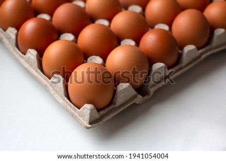Rural, raw and fresh eggs in cartoon egg box tray, close-up with soft and select focus and isolated copy space.
