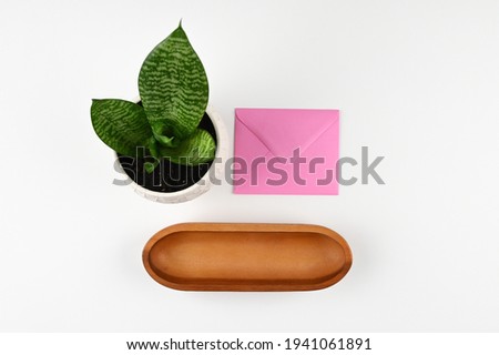 Pink envelope, green plant in pot and wooden plate. Minimalistic card mockup. Flat lay, top view. High quality photo