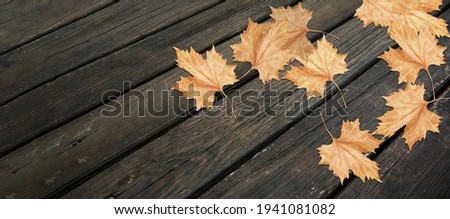 top view, dry autumn leaves standing on weathered wooden floor. close up. horizontal striped backdrop