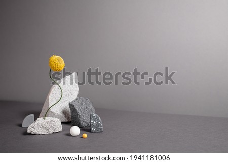 Diverse geometric figures with natural textures. Abstract minimalistic still life with copy space. Balancing flower with varied shapes, natural textures. Trendy colors of 2021 year - gray and yellow.