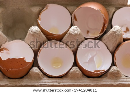 picture with used and empty egg shells, eat cooking concept
