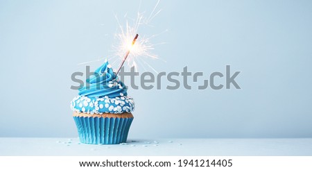 Birthday cupcake with celebration sparkler and sprinkles for a birthday party Royalty-Free Stock Photo #1941214405