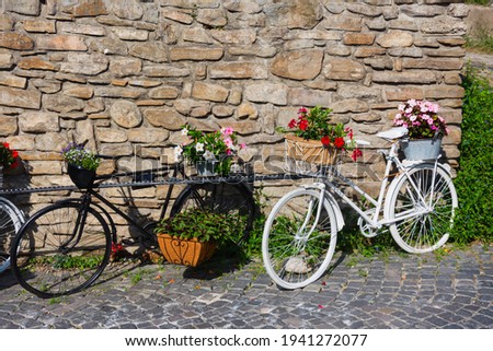 Two vintage bicycles as flowerbed on old cobblestone street in Sighisoara, Transylvania, Romania. Royalty-Free Stock Photo #1941272077