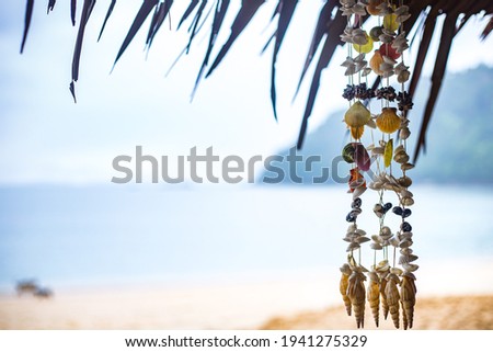 selective focus of seashell hanging over blurred beach background.
