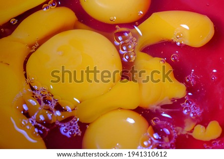 Closeup selective focus pictures of egg yolks used in bakery.