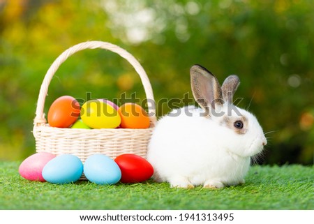 Lovely bunny easter fluffy baby rabbit with a basket full of colorful easter eggs on nature background.