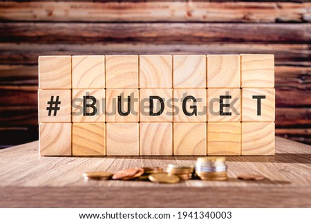 Word BUDGET written in black letters on wooden cubes. Photography with flat view.

