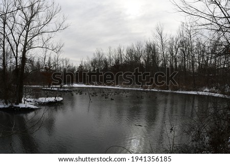 A lake has ducks and geese on it. The sky is gray and cloudy. There is snow on the ground. There are trees and brush everywhere. Picture taken in O’Fallon, Missouri.