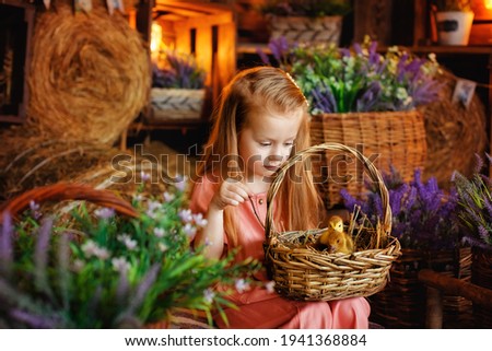 A little girl in a pink jumpsuit holds a basket of fluffy ducklings. Pretty girl laugh merrily and play with animals in the hayloft. Easter composition