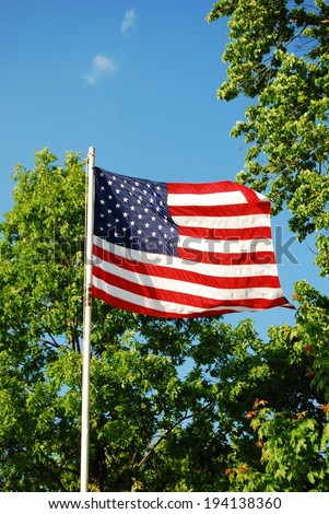 United States of America flag with blue sky and trees in the background 
