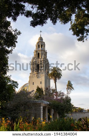 The  California Tower at the Balboa Park in San Diego, California framed with foliage.