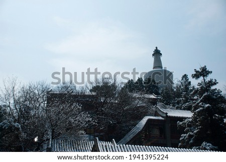The beautiful view at the Beihai Park after an overnight snow storm. This photo was taken on Mar 18 2011.