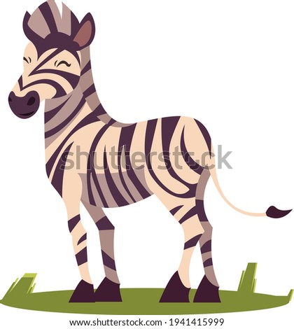 Adorable Zebra on the Grass