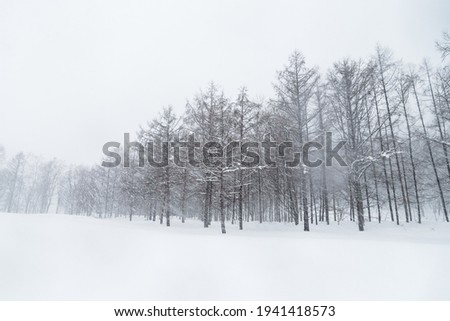 Snow scene during the day in Furano, Hokkaido, Japan