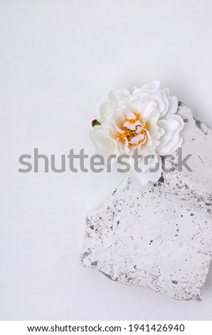 Top view of white stones and beautiful peony.Empty space