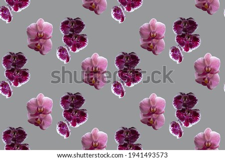 Pattern from a orchids of pink and purple colors on a gray background.