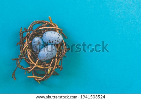 colorful easter eggs in nest against blue background