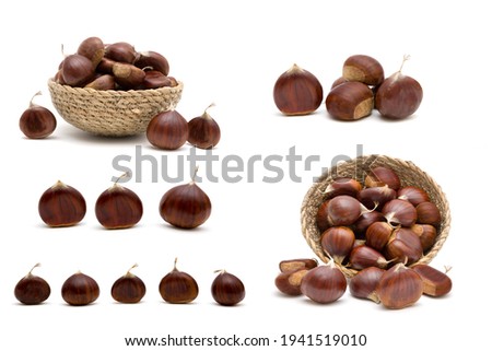Beautiful Set of fresh raw sweet chestnuts(Castanea sativa) isolated on a white background Royalty-Free Stock Photo #1941519010