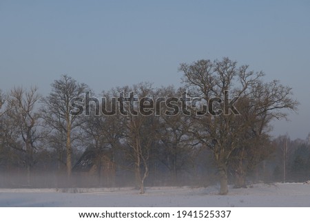 Winter morning landscape Latvia countryside
