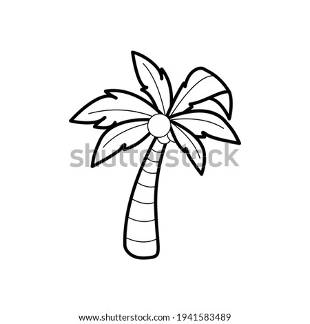 Vector linear image of palm tree with coconuts for vacation or travel and trip to the sea for black and white print on postcards and items