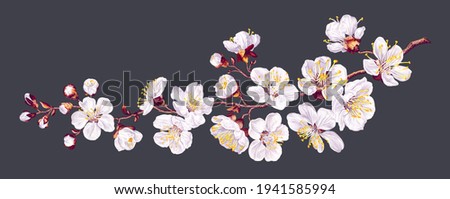 Vector branch with spring flowers. Realistic fruit tree branch. Detailed hand drawn clip art element isolated on dark background for your design, postcards, advertising, social media posts, textile Royalty-Free Stock Photo #1941585994