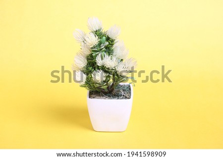 Small artificial plant photography on yellow 
background.