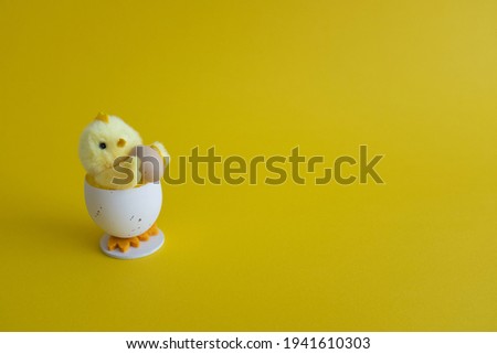 Happy and funny easter chicken in a eggshell with copy space on yellow background.