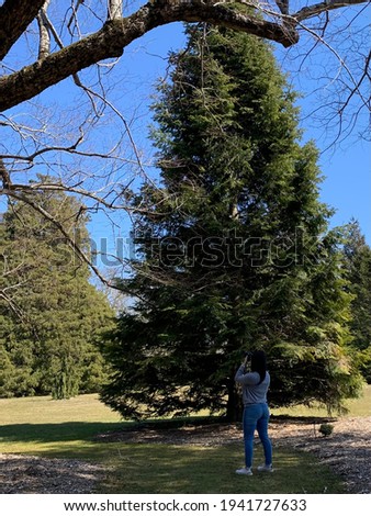 A female photographer standing beneath a large evergreen tree taking a picture of wildlife in the tree. The woman is dressed casually with the professional camera facing up and zoomed in.