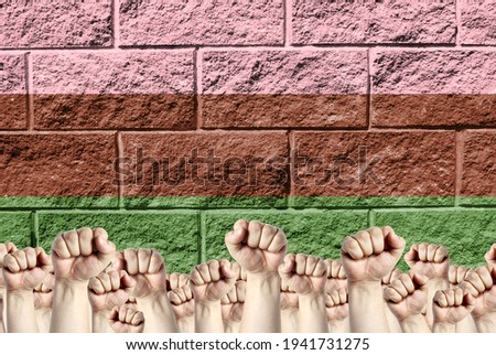 Raised fists against the background of the depicted flag of Gynosexual on a brick wall, a concept of strength and unity.