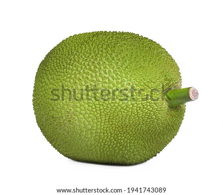 Delicious fresh exotic jackfruit isolated on white