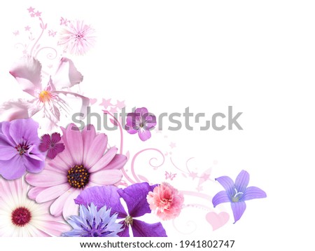 Design with different colorful Flowers on white background