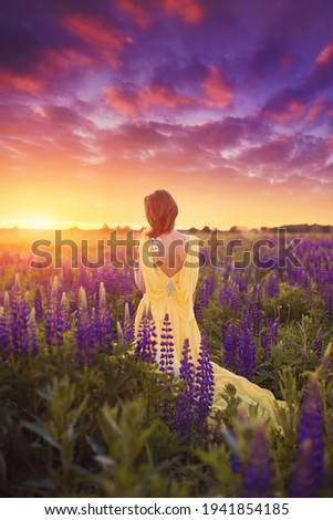 A beautiful girl in a long yellow dress against the background of a blooming purple lupine field and a bright sunset sky.