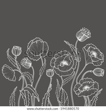 Drawing flowers in white on a gray background. Poppy flower clip art or illustration.