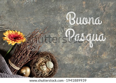Easter decorations, text Buona Pasqua means Happy Easter in Italian language. Gerbera flower, quail eggs in nest, twigs, Spring arrangement on textured background. Italian Easter greeting card design.