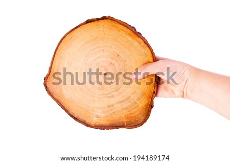 Human Hand Holding Wooden Cut Isolated on white background / For Concept of Carpentry, Wild, Nature, or Sign To Put Text Here, Give Take.