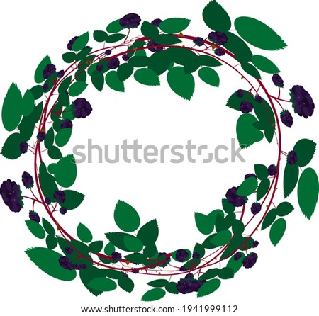 Vector blackberry branch with leaves and fruits round frame