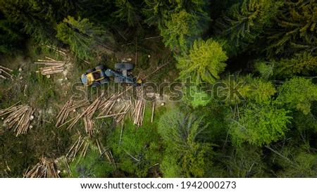 Norwegian foresting, logging, drone shot from above Royalty-Free Stock Photo #1942000273