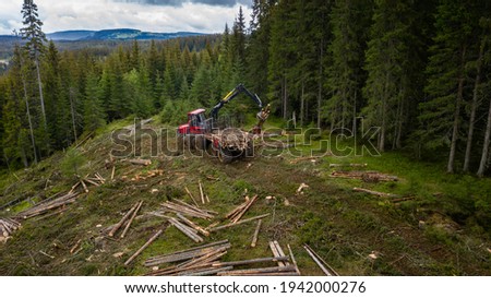 Norwegian foresting, logging, drone shot from above Royalty-Free Stock Photo #1942000276