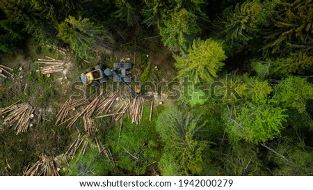 Norwegian foresting, logging, drone shot from above Royalty-Free Stock Photo #1942000279