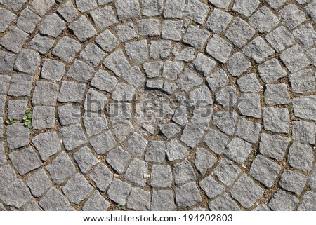 isolated macro texture of the pavement and pavers in summer