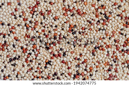Dry organic mixed color quinoa background.
