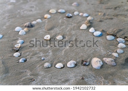 shells on the beach in the shape of heart, valentine concept.