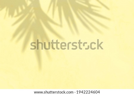 Summer Background Of Shadows Branch Leaves On a Wall. Illuminating Pantone Color Of The Year 2021.