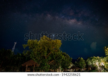 Milky way pictures Rising above the treetops