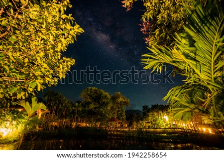 Milky way pictures Rising above the treetops