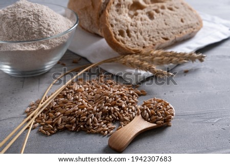Spelt grain and ears, whole grain spelt flour in bowl and sourdough spelt bread near. Royalty-Free Stock Photo #1942307683