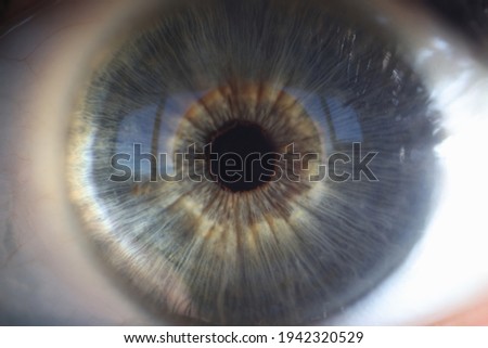 Macro photography of blue iris of female eye closeup
